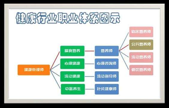 健康管理師改革