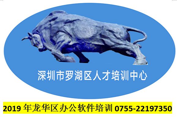 2019年龍華區辦公軟件培訓