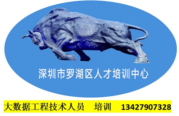 大數據工程技術人員培訓