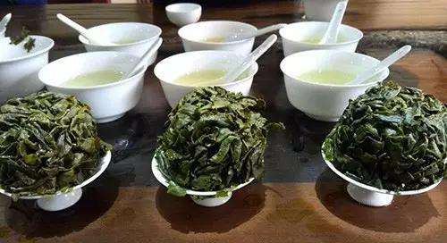 初級評茶員