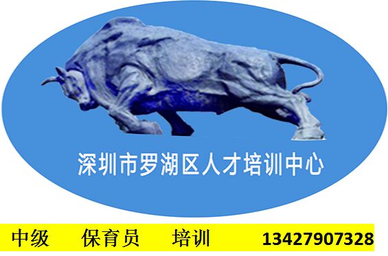 中級保育員培訓(xùn)