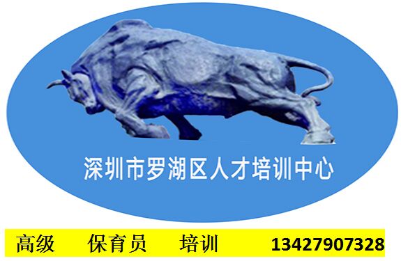 高級保育員培訓(xùn)