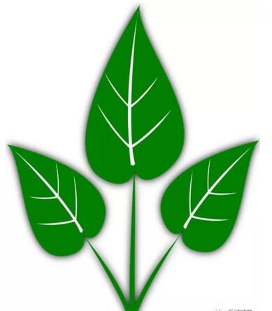 報名評茶員