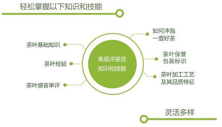 福田中級茶藝師培訓價格