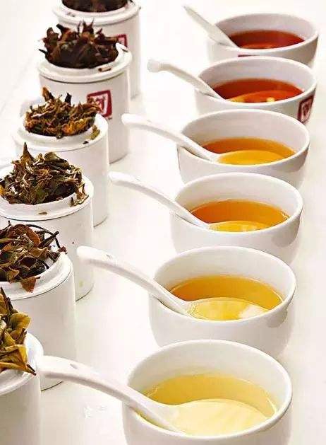 如何學品茶