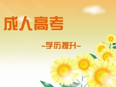 成考和自考有什么區別
