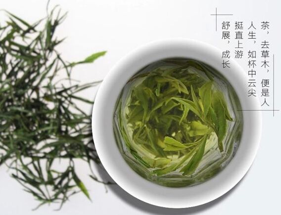 評茶員品評